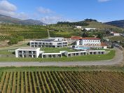 Douro Scala+Crucero - Régua / Pinhão / Régua (Subida y Descenso en Barco)