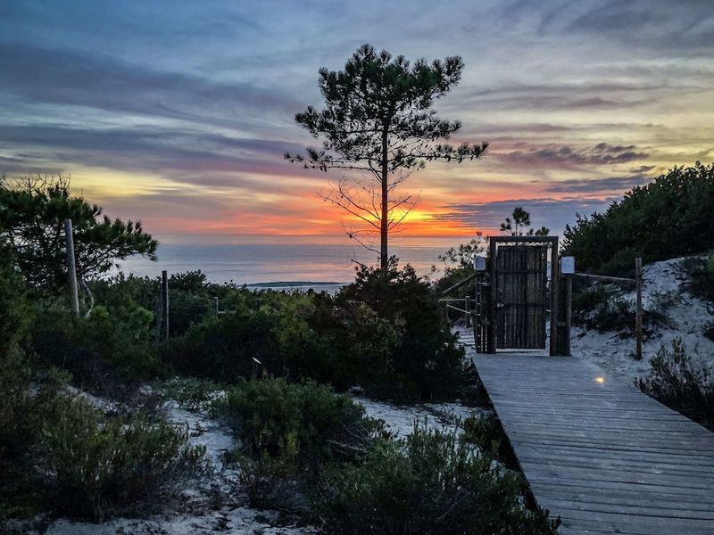 Pestana Troia Eco-Resort and Residences em promoção com Traventia