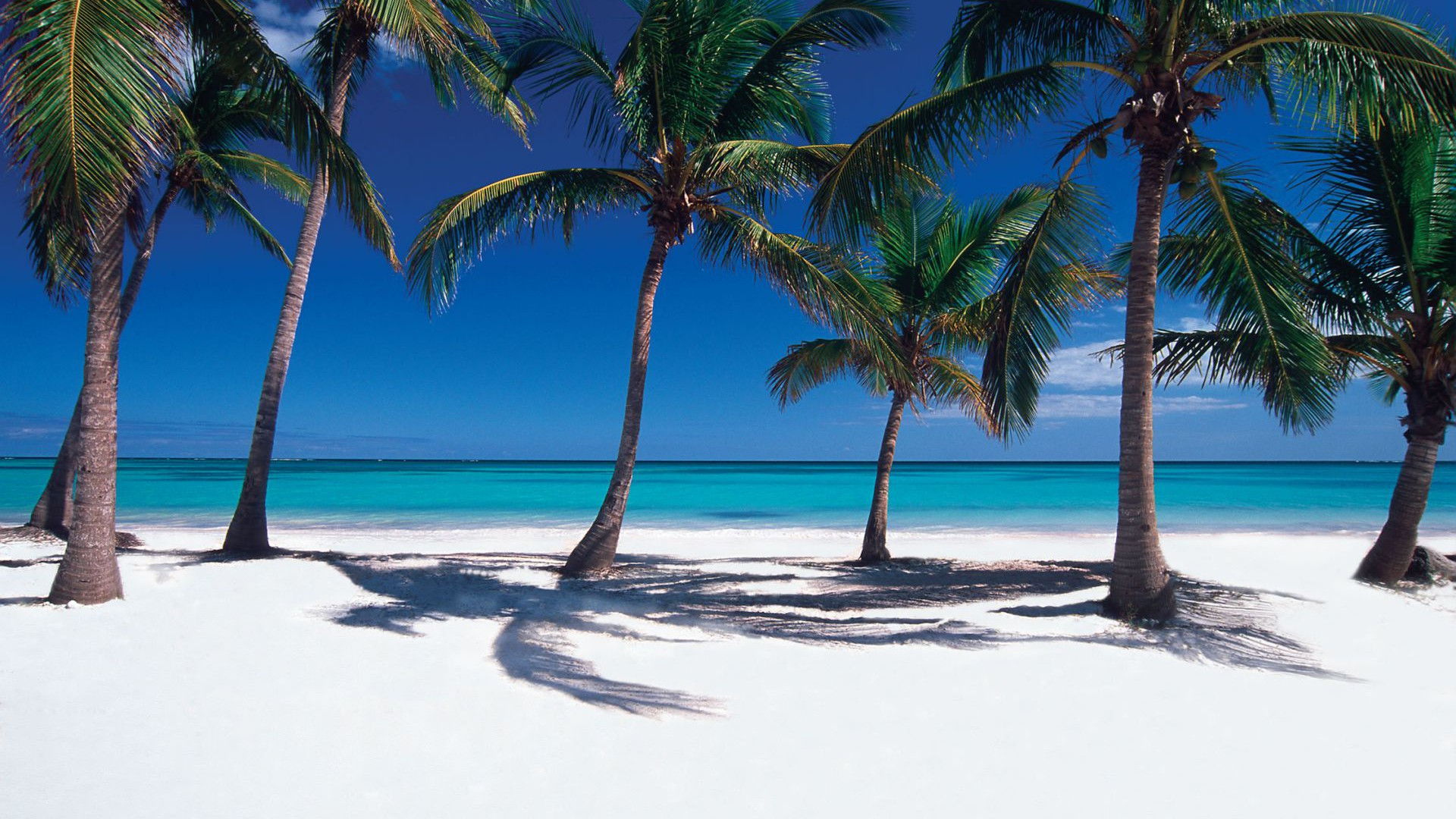Viaje a Punta Cana: Vuelo + Hotel Todo Incluido-4