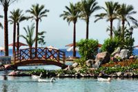 Movenpick Resort Taba