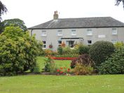 Surrone House - Guest house