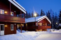 Birkebeineren Apartments