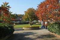 The Willows Training Centre