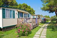 Arena Stupice Mobile Homes