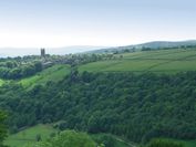 Moyles Signature B&B