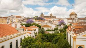 Évora Olive Hotel