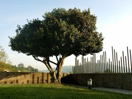 Quinta das Lavandeiras-Caldas de Vizela