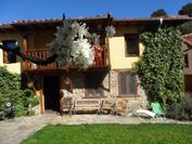 La Perezosa & Yoga - Hostel