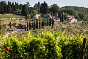 Querceto di Castellina