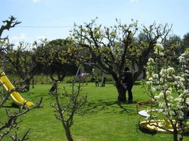 Agriturismo Arangea