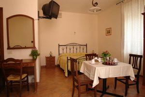 La Grevillea