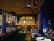 Ibis Styles Dreux Centre Gare+Billet Thoiry ZooSafari - 1 jour