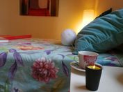 WELCOME TO DISCOVER THE MAGIC AMAZING TENERIFE !! PRIVATE BATH NICE BREAKAST WF :)