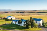 Brekkulækur Guesthouse