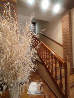 Hostal la Cepa