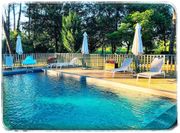 Au Clair Des Landes+Billet à Atlantic Park - 1 journée